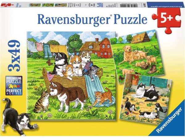 Spiel 6044.0